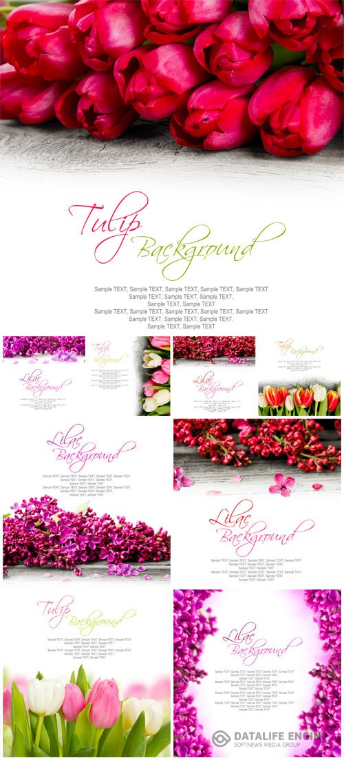 Lilac and tulips stock photo