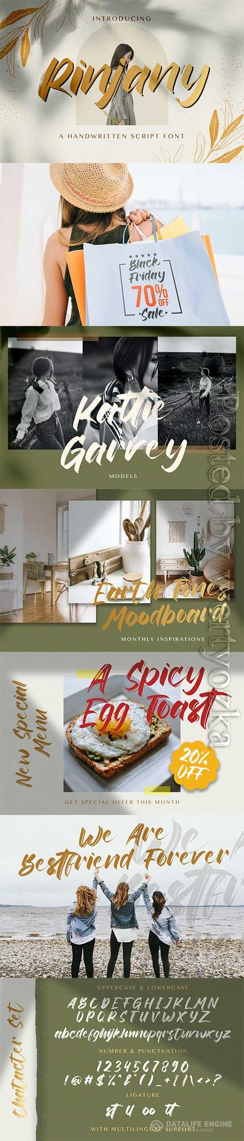 Font Rinjany - Textured Brush
