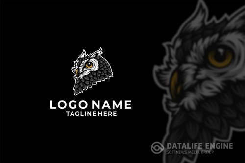 Owl Head Logo Design Vector