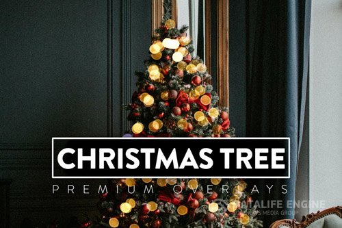24 Christmas Tree Light Overlay