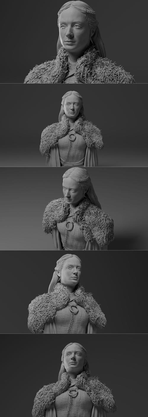 Sansa Stark – 3D Print