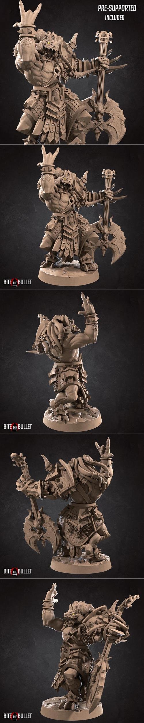 Diox, the Metal Bard Dragonborn – 3D Print