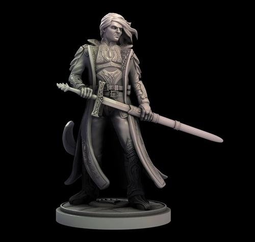 Sorin – 3D Print
