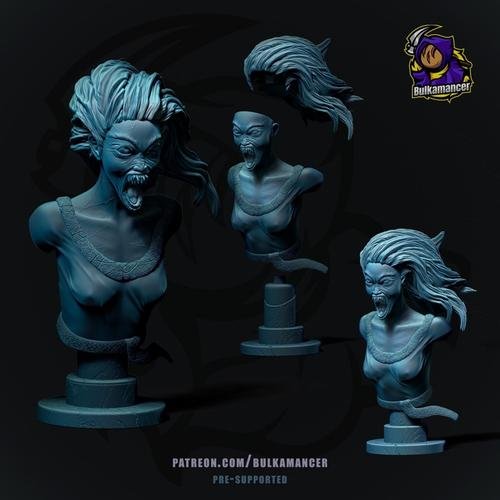 Bruxa Witcher Bust – 3D Print